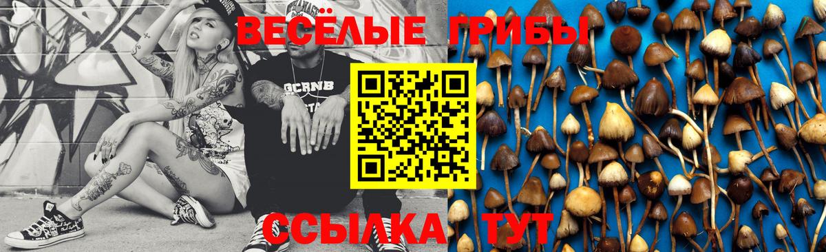 ГАШИШ  Киселёвск  Марихуана  Кетамин  МДМА  Меф МЯУ МЯУ   Вход с VPN  ГАШ 