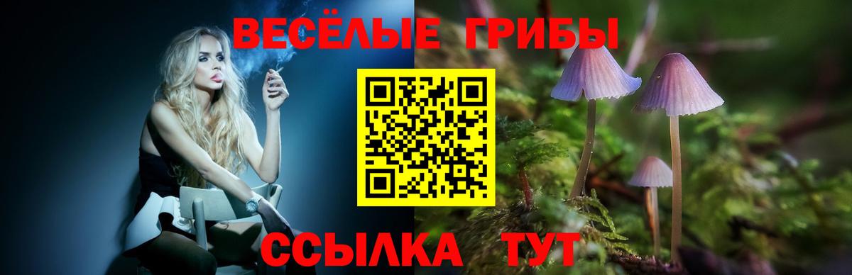 Галлюциногенные грибы мухоморы  Галлюциногенные грибы MAGIC MUSHROOMS  Вход с VPN  Киселёвск 